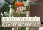 zoco barcelona
