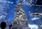 L´Aquarium de Barcelona