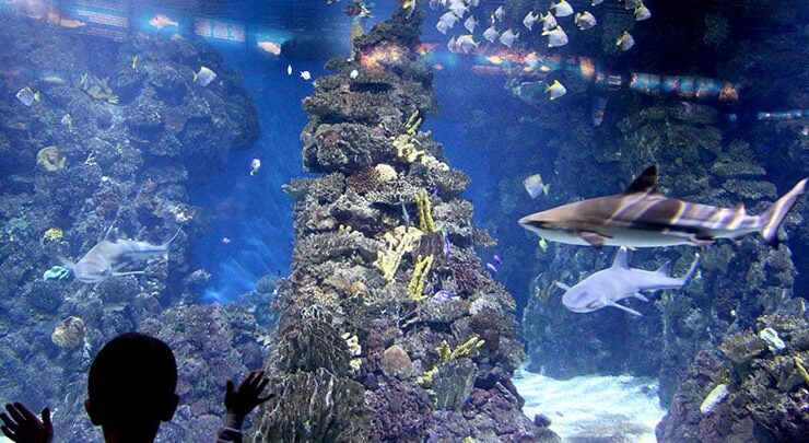 L´Aquarium de Barcelona
