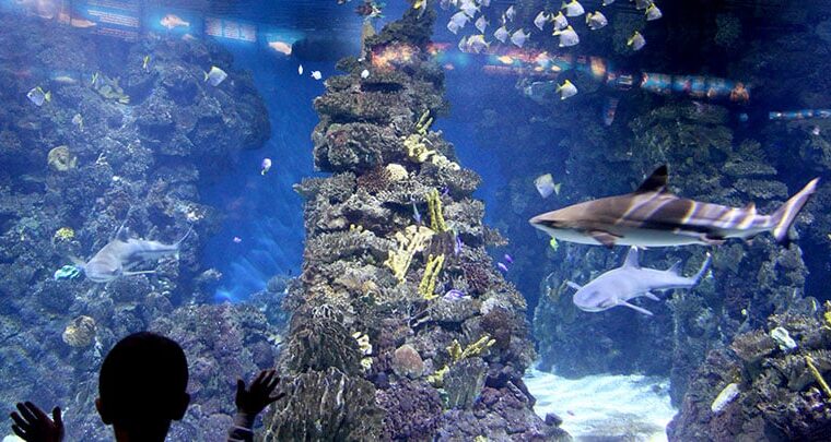 L´Aquarium de Barcelona