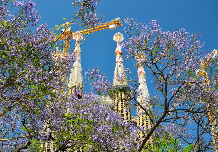 barcelona en primavera