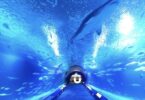 Visita virtual con tus hijos el Oceanographic