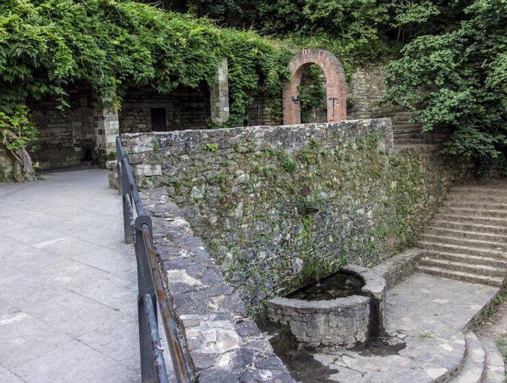 Font de la Budellera: un gran paseo para los amantes de la naturaleza