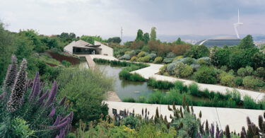 Jardí Botànic Històric: un oasis natural