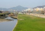 Se construirá un refugio de biodiversidad  para la renaturalización del río  Besòs