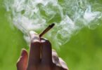 Altos residuos de cannabis en las aguas residuales de Barcelona