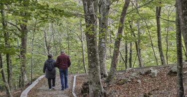 Parc Natural del Montseny