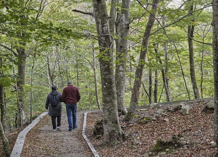 Parc Natural del Montseny