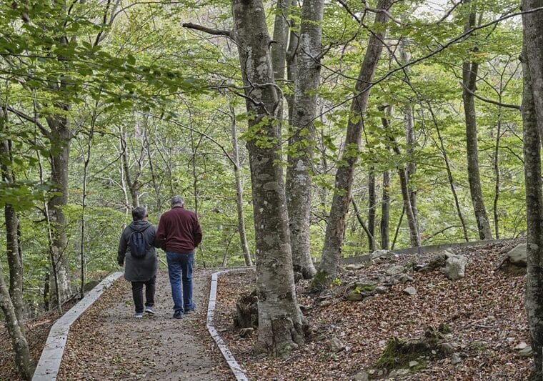 Parc Natural del Montseny