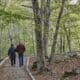 Parc Natural del Montseny