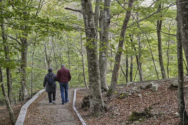 Montseny Natural Park