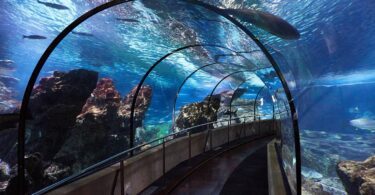 Un mar de actividades en el L'Aquàrium de Barcelona