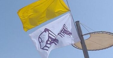 Bandera amarilla por presencia de medusas en playas de Barcelona