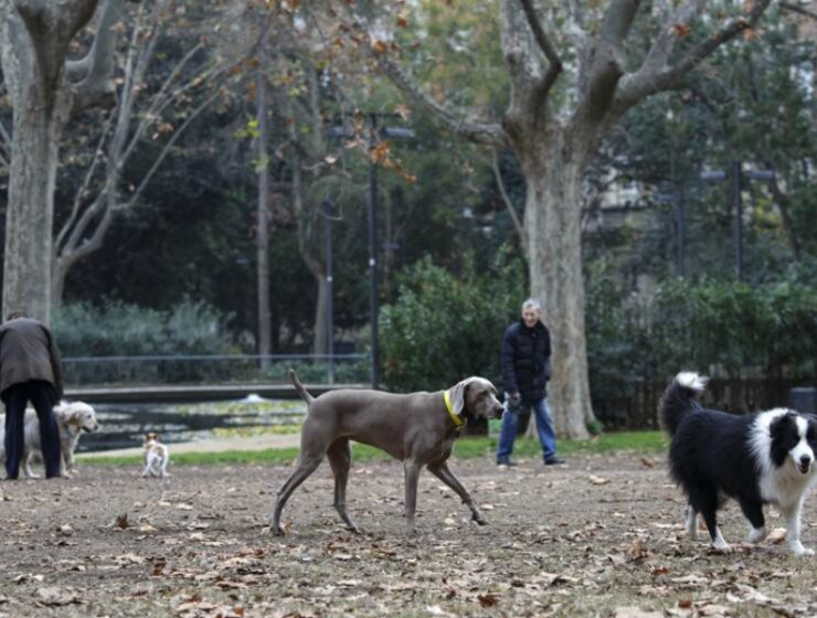 Estrenan macroáreas para perros en Barcelona
