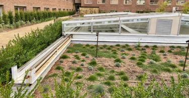 Nuevo jardín y huerto urbano en el Intercontinental de Barcelona