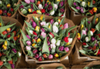 Tienes que conocer las floristerías más encantadoras de Barcelona