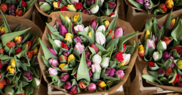 Tienes que conocer las floristerías más encantadoras de Barcelona