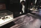 Muestra del Palau Robert: 85 años de fosas comunes