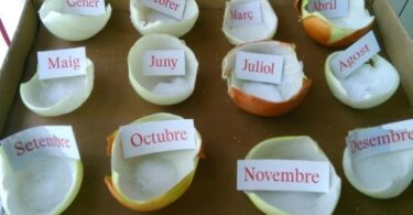 El "Calendario de la cebolla" : método campesino para anunciar el clima del año