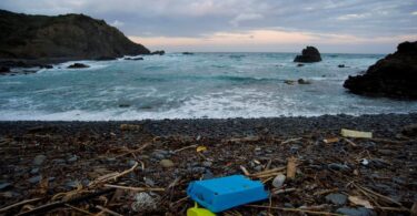 Pescadores llenaron once camiones cisterna con 70.000 litros de desechos del litoral