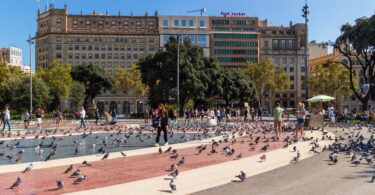 ¿Qué hay para hacer en Plaza Catalunya? Aunque no lo creas, muchas cosas