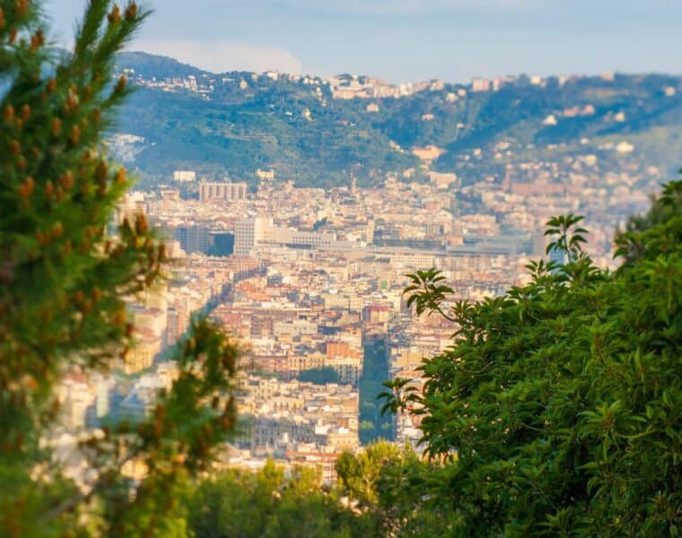 parques cerca de mi 50 mejores parques de barcelona Parc de Montjuïc