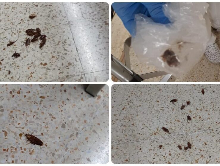 Centro de Urgencias en Santa Coloma de Gramenet afectado por plaga de cucarachas