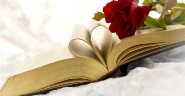 Disfruta de buenas lecturas en Sant Jordi 2023