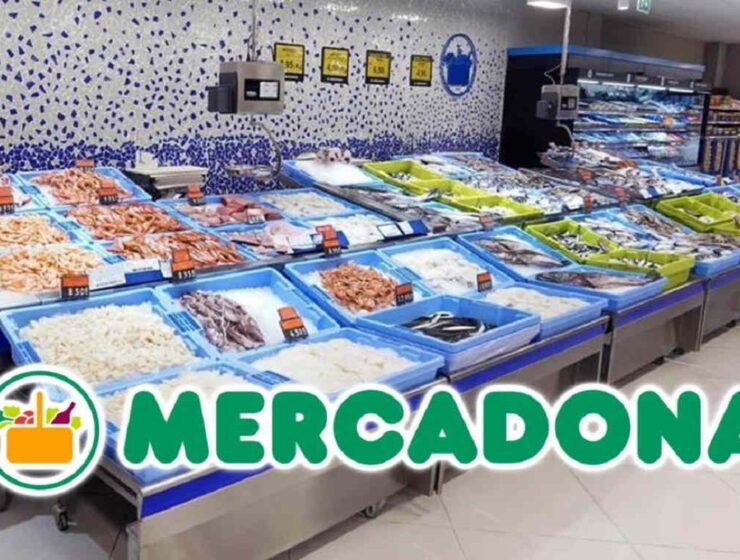 Pescadería en Mercadona: cajas verdes y azules, conoce la diferencia