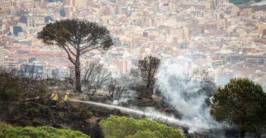 Parques y bosques barceloneses en alerta máxima por incendios