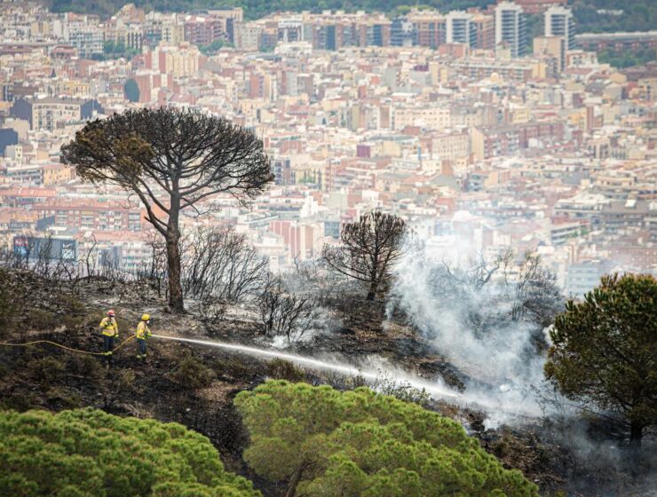 Parques y bosques barceloneses en alerta máxima por incendios