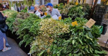 Vuelve la feria de las hierbas medicinales en Barcelona