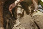 Encuentran más tumbas de la época romana en obras de la Via Laietana