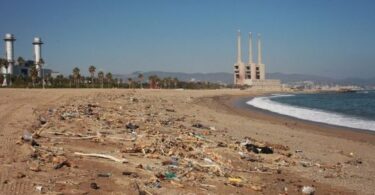 Grave crisis de contaminación en las playas de Barcelona