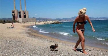 Por mala calidad del agua piden cerrar la playa del Fòrum en Sant Adrià (Barcelona)