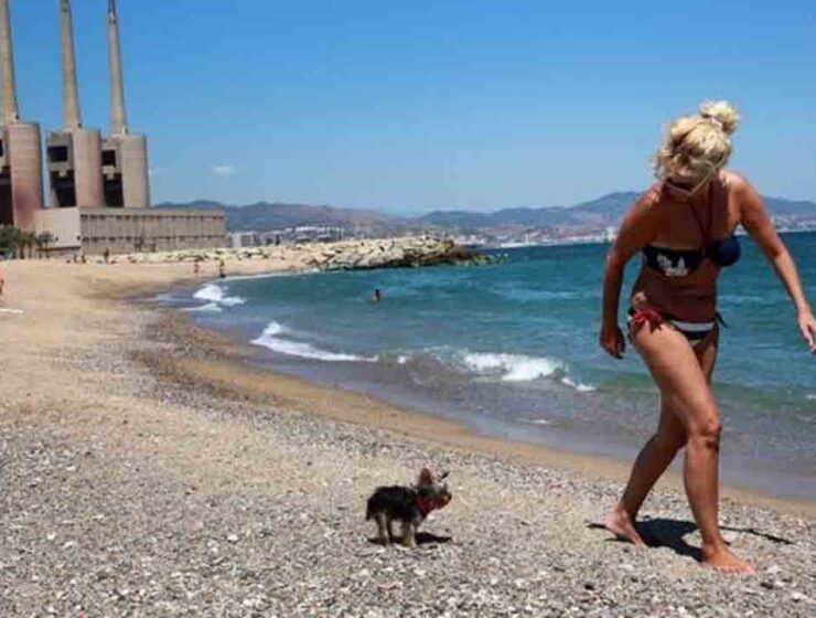 Por mala calidad del agua piden cerrar la playa del Fòrum en Sant Adrià (Barcelona)