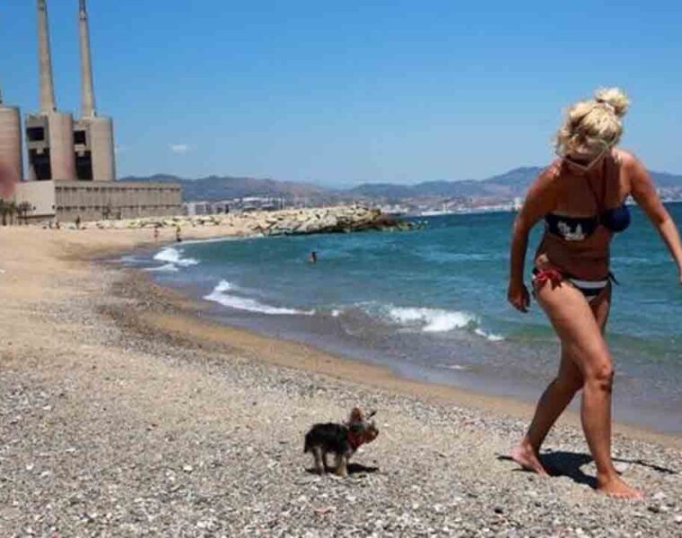 Por mala calidad del agua piden cerrar la playa del Fòrum en Sant Adrià (Barcelona)