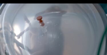 Hospitales Sant Joan de Déu y el Clínic de Barcelona lideran investigación en placenta artificial