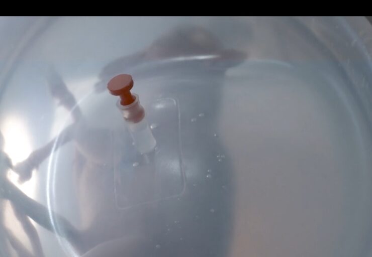 Hospitales Sant Joan de Déu y el Clínic de Barcelona lideran investigación en placenta artificial