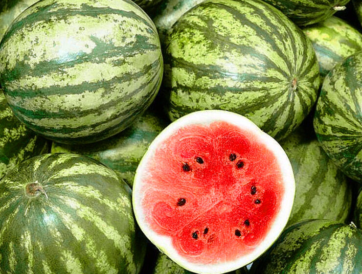 Alerta alimentaria por altos niveles de metomilo en sandías procedentes de Marruecos