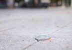 Las pequeñas piezas metálicas en el suelo del distrito del Eixample: ¿qué función cumplen?