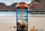 Descarga MedusApp para saber si hay medusas en playas catalanas