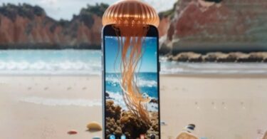 Descarga MedusApp para saber si hay medusas en playas catalanas