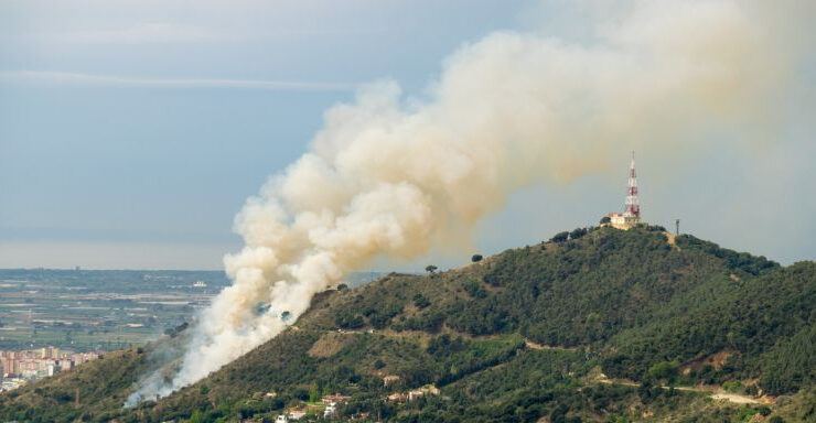 Prohibiciones en el Parc de Collserola de Barcelona por riesgo de incendio 