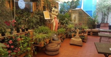 Museo de la Erótica de Barcelona: premio Travelers' Choice 2023