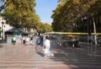 La Rambla de Barcelona: ahora un proyecto de transformación para revitalizar un Eje Cultural
