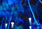 Naturaleza Encendida para explorar el origen de la vida a través de la luz