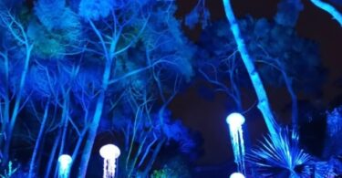 Naturaleza Encendida para explorar el origen de la vida a través de la luz