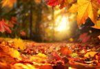 ¿A qué hora entró el otoño en Barcelona y cuándo termina en 2023?