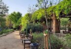 Barcelona inicia obras de mejora en sus espacios verdes